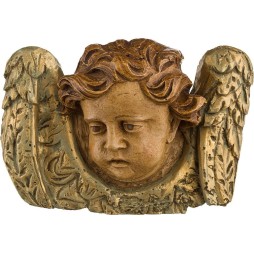 Ange (droit)