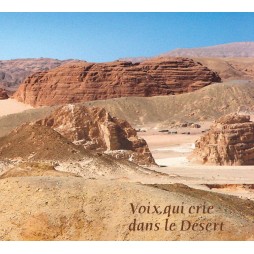 Voix qui crie dans le désert